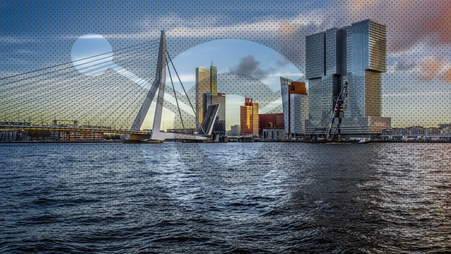 otterdam-worldexpo-raster