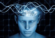 Hebben succesvolle mensen andere breinstaten dan anderen?