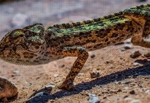 Digitale transformatie: schade van 900 miljard USD (!) iCity_transformatie